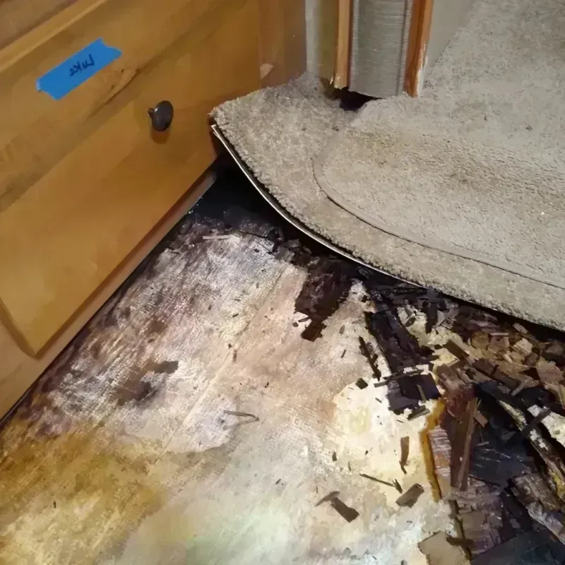 Wood Floor Water Damage in Boulder County, CO